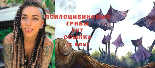 шишки Нефтегорск