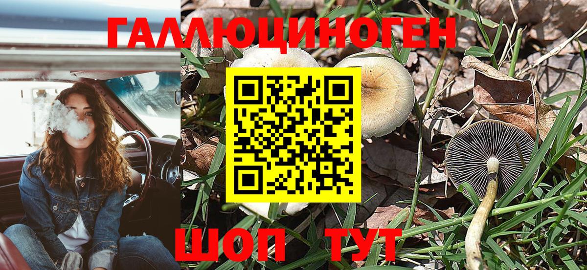 Галлюциногенные грибы прущие грибы Кумертау